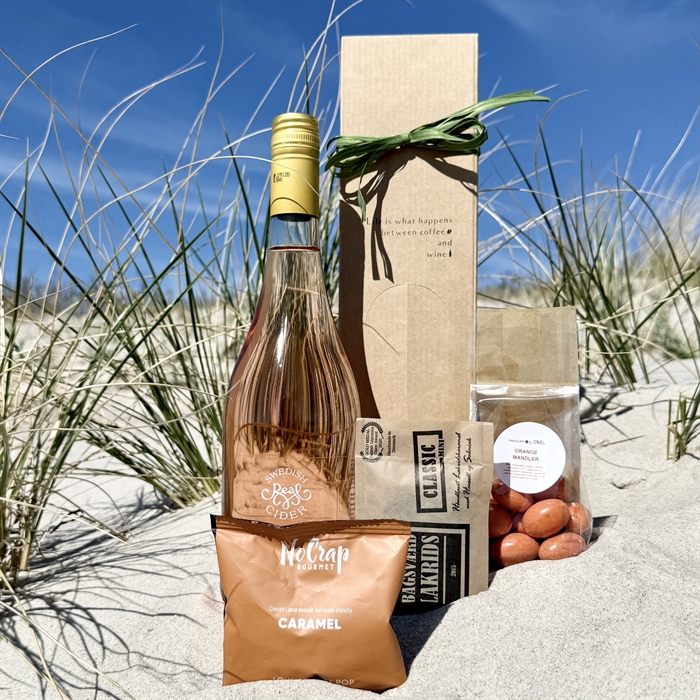 ALKOHOLFRIA SOMMAR PRESENTER